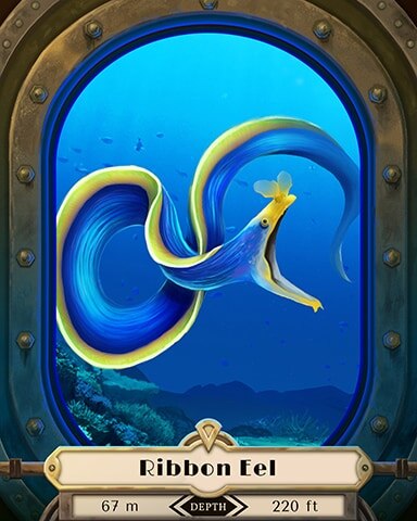 Thousand Island Solitaire HD Ribbon Eel Deep Sea Creatures Badge