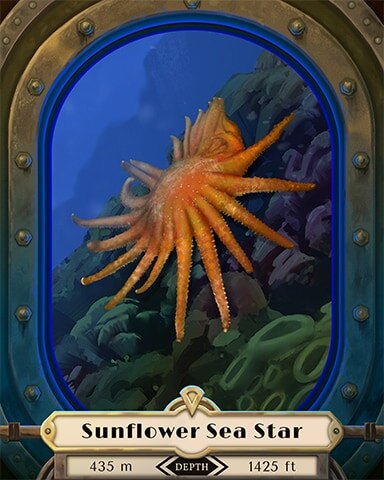 Mahjong Safari HD Sunflower Sea Star Deep Sea Creatures Badge
