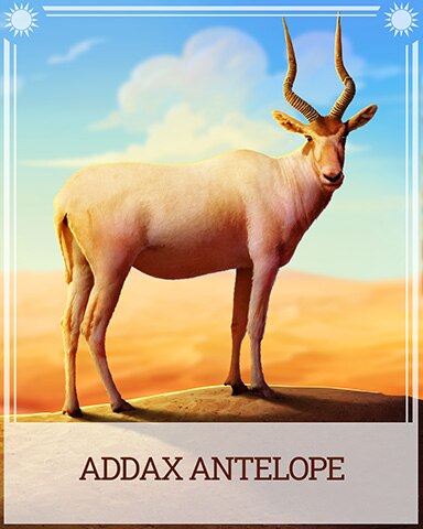 Pogo Addax Antelope Desert Wonders Badge