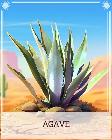 Pogo Agave Desert Wonders Badge