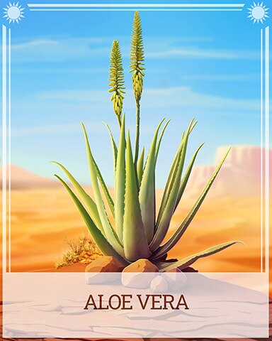 Pogo Aloe Vera Desert Wonders Badge
