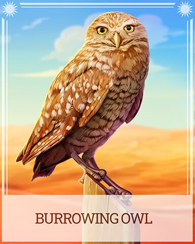 Pogo Burrowing Owl Desert Wonders Badge