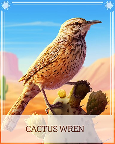 Pogo Cactus Wren Desert Wonders Badge