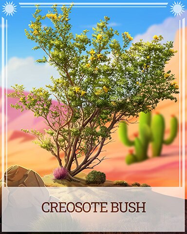 Pogo Creosote Bush Desert Wonders Badge