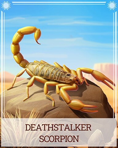 Deathstalker Scorpion Desert Wonders Badge - Bookworm HD