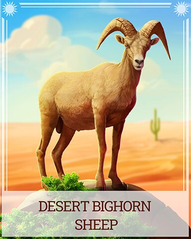 Pogo Desert Bighorn Sheep Desert Wonders Badge