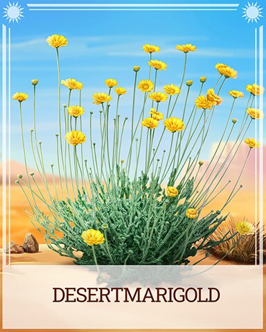Pogo Desert Marigold Desert Wonders Badge