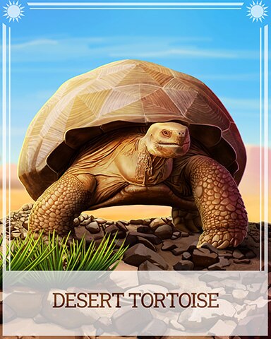 Desert Tortoise Desert Wonders Badge - Mahjong Sanctuary