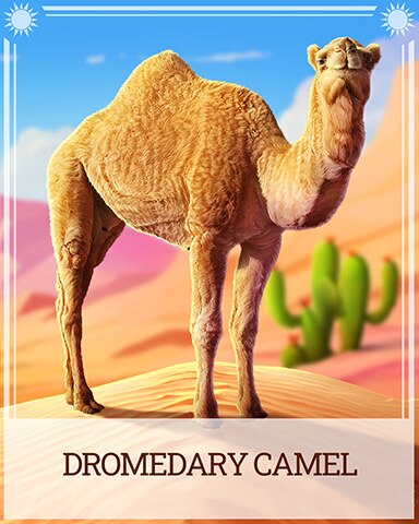 Pogo Dromedary Camel Desert Wonders Badge