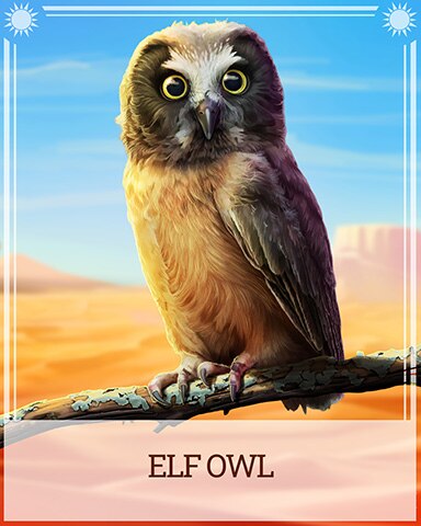 Pogo Elf Owl Desert Wonders Badge