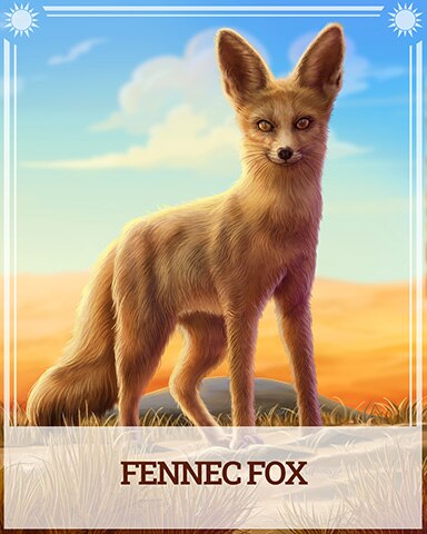 Pogo Fennec Fox Desert Wonders Badge