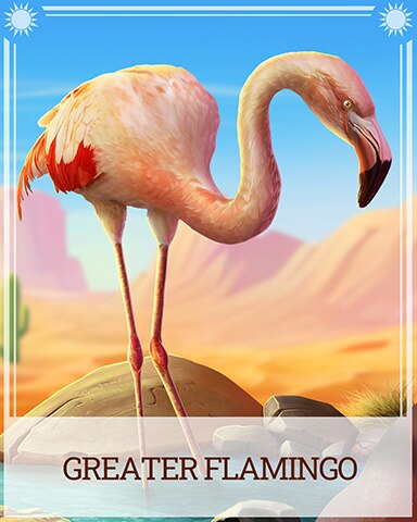 Pogo Greater Flamingo Desert Wonders Badge