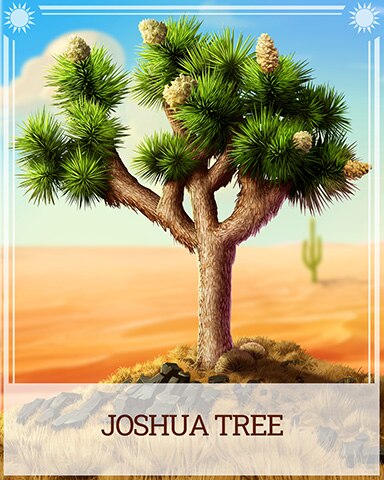 Pogo Joshua Tree Desert Wonders Badge
