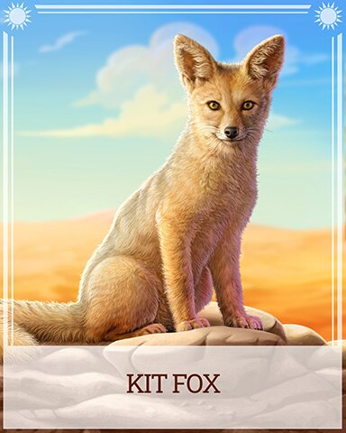 Pogo Kit Fox Desert Wonders Badge