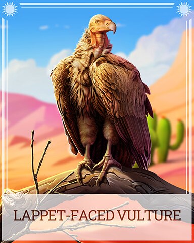 Pogo Lappet-Faced Vulture Desert Wonders Badge