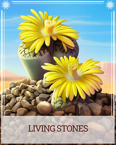 Living Stones Desert Wonders Badge - Canasta HD