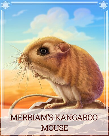 Merriam's Kangaroo Mouse Desert Wonders Badge - Thousand Island Solitaire HD