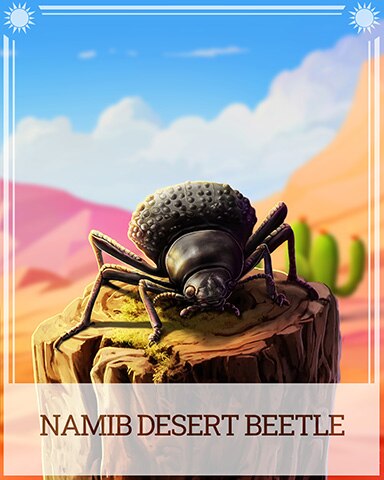 Pogo Namib Desert Beetle Desert Wonders Badge