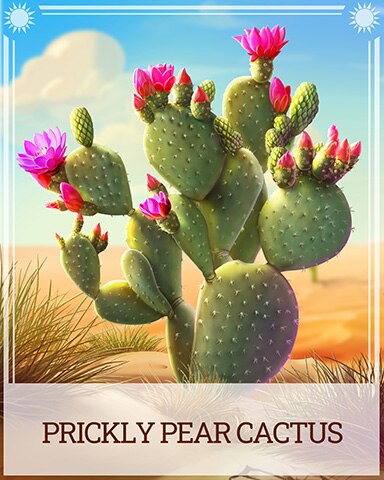 Prickly Pear Cactus Desert Wonders Badge - Matching Moments