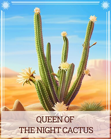 Pogo Queen of the Night Cactus Desert Wonders Badge