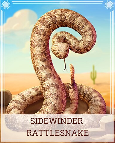 Sidewinder Rattlesnake Desert Wonders Badge - Jigsaw Treasure Hunter HD