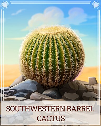 Pogo Southwestern Barrel Cactus Desert Wonders Badge