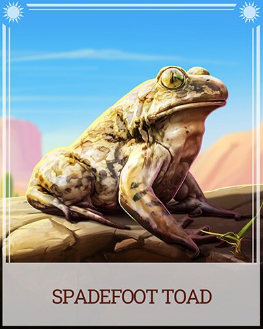 Pogo Spadefoot Toad Desert Wonders Badge