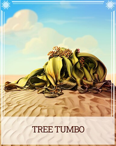 Tree Tumbo Desert Wonders Badge - Farm Merge Valley