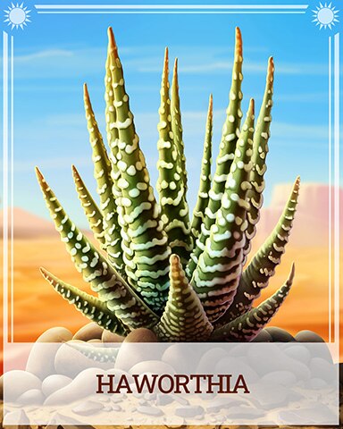 Pogo Haworthia Desert Wonders Badge