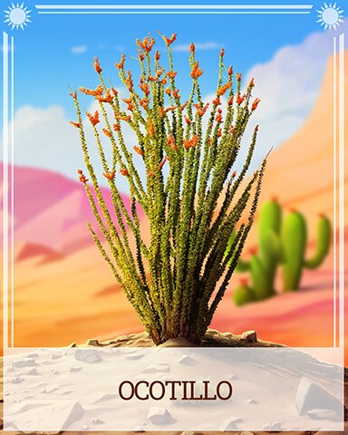 Pogo Ocotillo Desert Wonders Badge