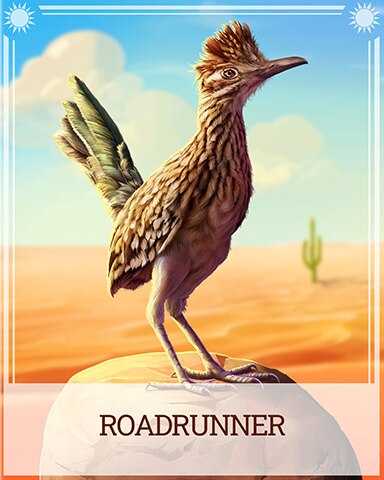Pogo Roadrunner Desert Wonders Badge
