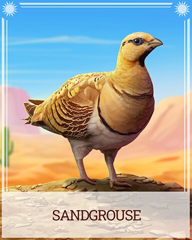 Pogo Sandgrouse Desert Wonders Badge