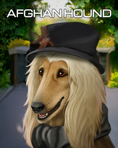 Canasta HD Afghan Hound Dogs in Disguise Badge
