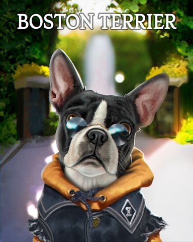 Dice City Roller HD Boston Terrier Dogs in Disguise Badge