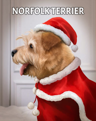 World Class Solitaire HD Norfolk Terrier Dogs in Disguise Badge