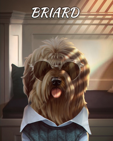 First Class Solitaire HD Briard Dogs in Disguise Badge