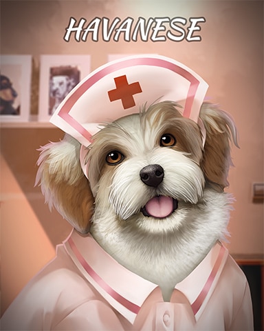 Pogo Slots Havanese Dogs in Disguise Badge