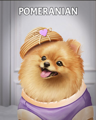 Claire Hart: Secret in the Shadows Pomeranian Dogs in Disguise Badge