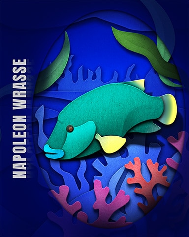 Pogo Napoleon Wrasse Endangered Animals Badge