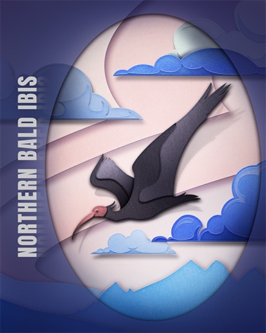 Pogo Northern Bald Ibis Endangered Animals Badge