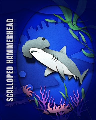 Pogo Scalloped Hammerhead Endangered Animals Badge