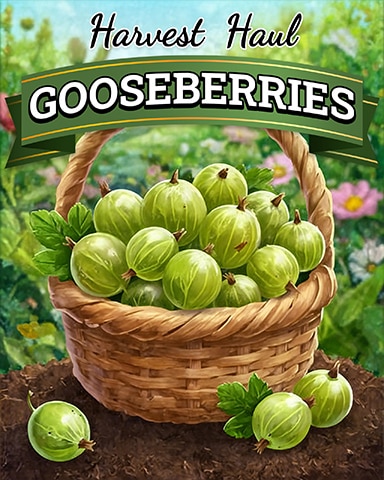 Gooseberries Harvest Haul Badge