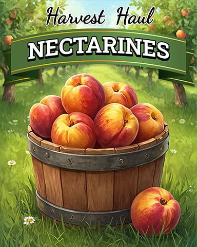 Nectarines Harvest Haul Badge