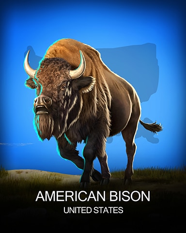Pogo Addiction Solitaire HD American Bison National Animals Badge