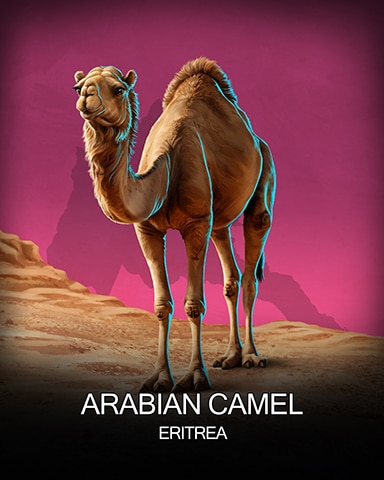 Snowbird Solitaire Arabian Camel National Animals Badge