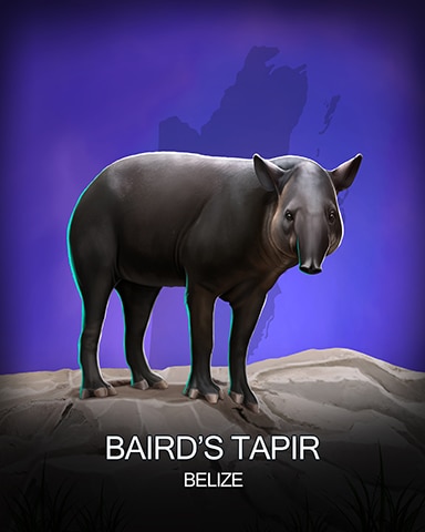 Word Whomp HD Bairds Tapir National Animals Badge