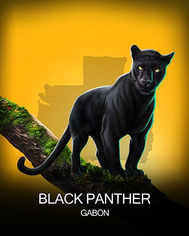 Canasta HD Black Panther National Animals Badge