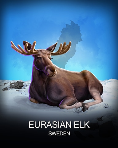 Solitaire Home Story Eurasian Elk National Animals Badge