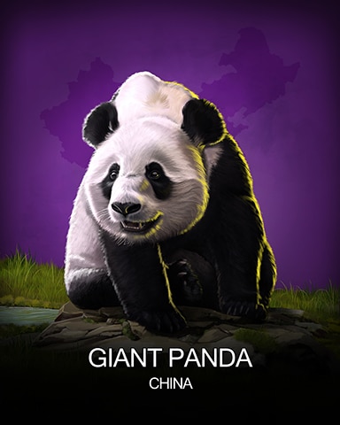 Crossword Cove HD Giant Panda National Animals Badge