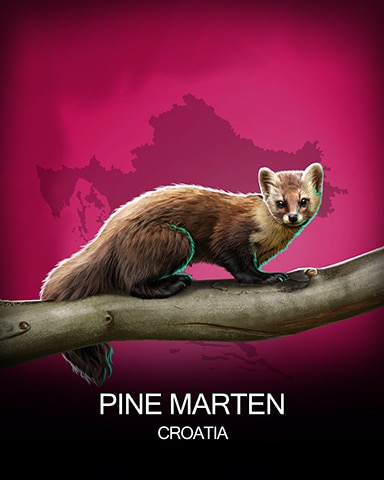 Canasta HD Pine Marten National Animals Badge